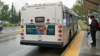 Calgary Transit 2007 New Flyer D40LF #8014 on Route 304 Max Yellow Woodpark