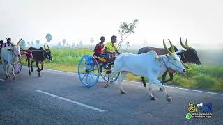 Rekla Race  Sekkarakudi...