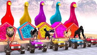 5 Giant Ducks, Monkey, Lion, Hippo, Cow, Sheep, chicken, Gorilla, Transfiguration funny animal 2023