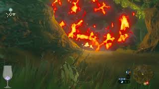 Breath of the Wild - The Super Cut