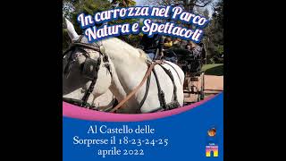 In carrozza nel Parco
Natura e Spettacoli