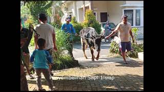 Pelaksanaan Qurban 1443H Masjid  At Taufiq Komplex Palem-2 Residence