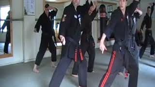 Moncheaux Kenpo France with Eddie Downey