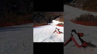 Ski carving