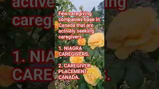 Care Companies with free visa sponsorship..