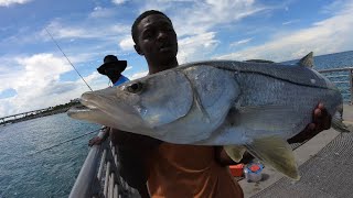 THUMP After THUMP Insane Bite (Sebastian inlet) Snook Fishing