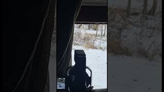 Deer shot from bedroom