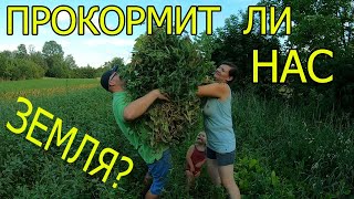 Может ли нас прокормить земля?