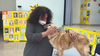 VIESTE, A LEZIONE DI INGLESE CON IL CANE