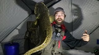 My Favorite Fish To Catch Ice Fishing (SURPRISE CATCH)