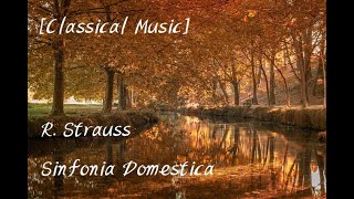 [Classical Music] R. Strauss - Sinfonia Domestica, op. 53 By Rudolf Kempe