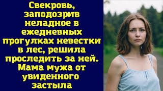 Свекровь, заподозрив неладное в ежедневных прогулках невестки в лес, решила проследить за ней