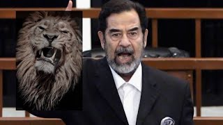 Lions have similar looks /saddam hussein  للأسود نظرات متشابهة / صدام حسين  🦁