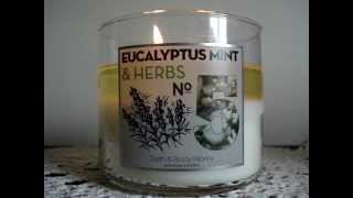 Bath and Body Works Candle Review: #5 Eucalyptus Mint & Herbs + WE ♥ CHICAGO CANDLE INFO