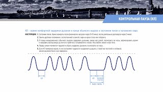 Как научиться правильно измерять Контрольную Паузу Бутейко. Запись прямого эфира