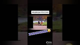 МЕДВЕДИ АМЕРИКИ VS МЕДВЕДЕЙ РОССИИ!!!