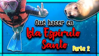 ¡NADANDO con LOBOS MARINOS en ISLA ESPÍRUTO SANTO (LA PAZ, BCS)? 🤿 ► Pt. 2 I Turismo con Pao 🎒