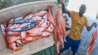 Big Catch On Red Snappers With Hook & Line In Deep Waters Fishing In The Dark