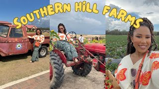 Come pick strawberries and sunflowers with me at Southern Hill Farms in Clermont,Fl