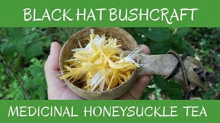 Japanese Honeysuckle: Wild Edible & Medicinal: (Tagged!)