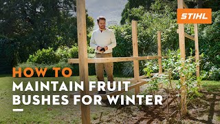 How to prepare, maintain & winterise berries | STIHL​