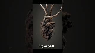 #یکی از آفرنده الله (ج)