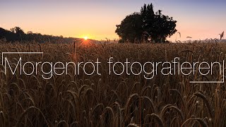 Leuchtender Himmel an der schönen Eiche | Rene Berger Landschaftsfotografie