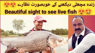 Beautiful sight to see live fish 😍😍.  /زندہ مچھلی دیکھنے کے خوبصورت نظارے