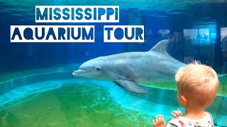 Tour of the Mississippi Aquarium