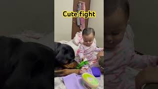 Rottweiler and a baby fight #rottweiler #dog #baby #babygirl #cutebaby #traineddog #trending #shorts