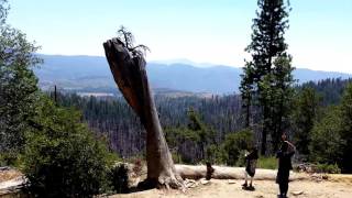 Road trip west usa gopro 03 Yosemite national park