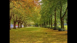 Walking in Wandsworth Park in Putney, London