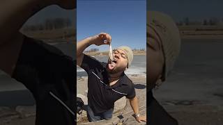 Eating Surströmming !!!!