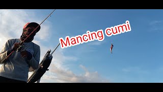 Mancing cumi