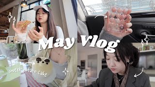 ☀️五月日记 (May Vlog) | 每个月必有的出差项目 | 我真的好爱吃盒饭🍱 | 新买的眼影盘和口红都好好看！| MaiaMina开箱 | MIMIZHANG