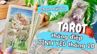 CHỌN MỘT VIÊN ĐÁ ¤ THÔNG ĐIỆP TÌNH YÊU THÁNG 10 dành cho bạn là gì