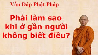 2655. Phải làm sao khi ở gần người không biết điều?