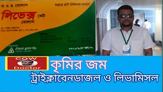 গরুর কলিজা এবং ফুসফুসের কৃমি দমনের ঔষধ এবং চিকিৎসা