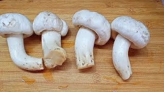 I picked mushrooms in our yard and cooked them and ate them together | Dilrabo Tv