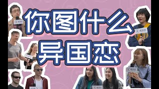 据说 百分九十的异地恋都死在半路上 | How tough is long distance relationship?【德国派】