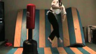 Butterfly kick   Brown belt kicks