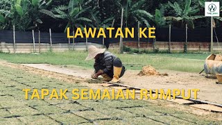 Lawatan Ke Tapak Semaian Rumput The Lawn