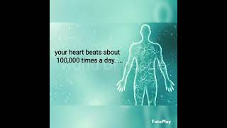 5 facts about our body