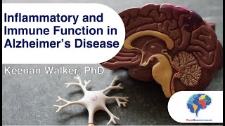 Inflammatory and Immune Function in Alzheimer's Disease