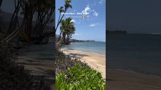 Lahaina’s Baby Beach. Maui continues its Recovery 10 Months after the🔥 #lahaina #maui #lahainafire