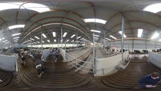 360 video of a 360 Unit Cubicle Shed