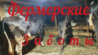 Постамент для коров//Pedestal for cows//奶牛底座//Pedestal para vacas//Sockel für Kühe//