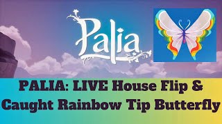 Palia House Flip Chaos Live Twitch & Catching the Rainbow Tip Butterfly live with Buzzy Jar!!