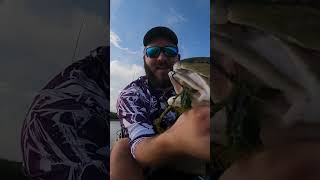 Louisiana marsh fishing! #shortsfeed #shortsvideo #shortsviral #shorts #fishing