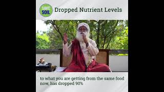 Dropped nutrient levels 👣 Save Soil👣